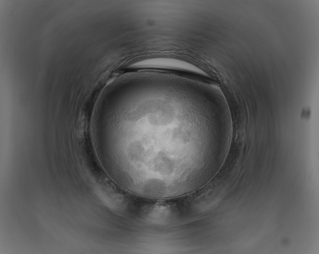 X0000093250647200710031605