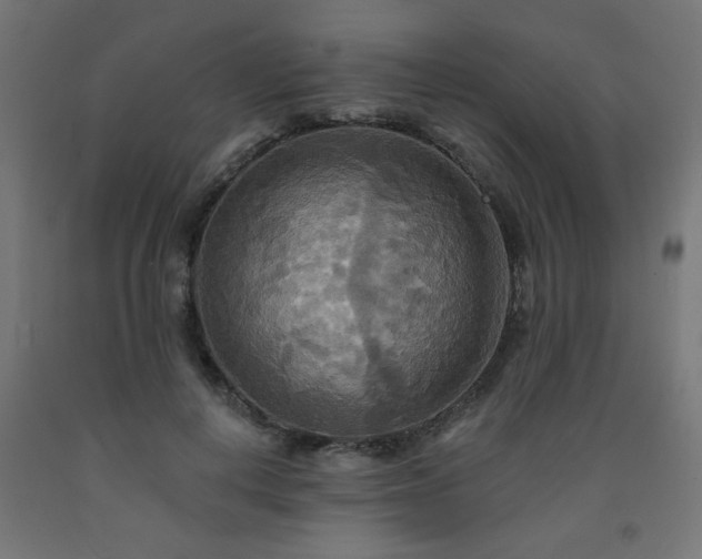 X0000093250648200710031605