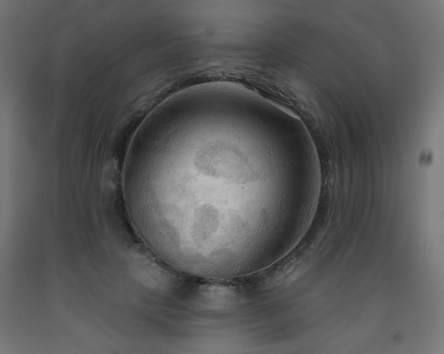 X0000093250649200710031605