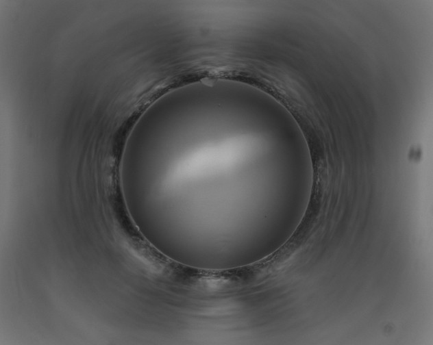 X0000093250650200710031605