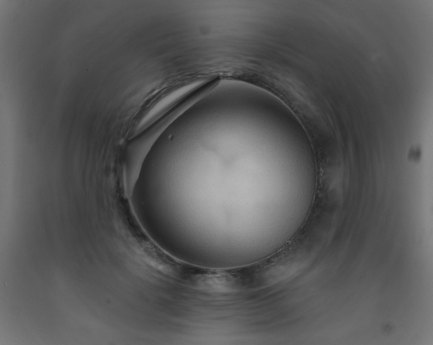 X0000093250652200710031605