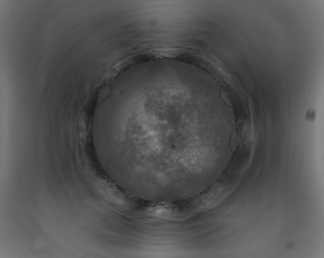 X0000093250655200710031605