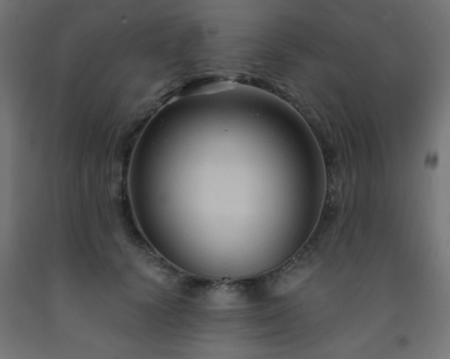 X0000093250656200710031605