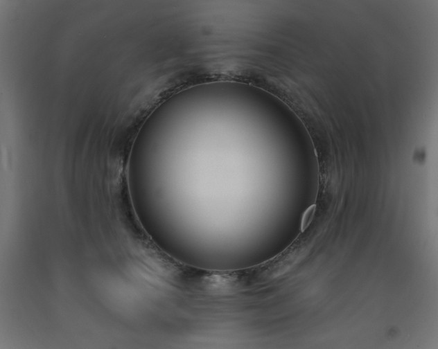 X0000093250660200710031605