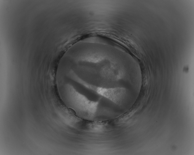 X0000093250661200710031605