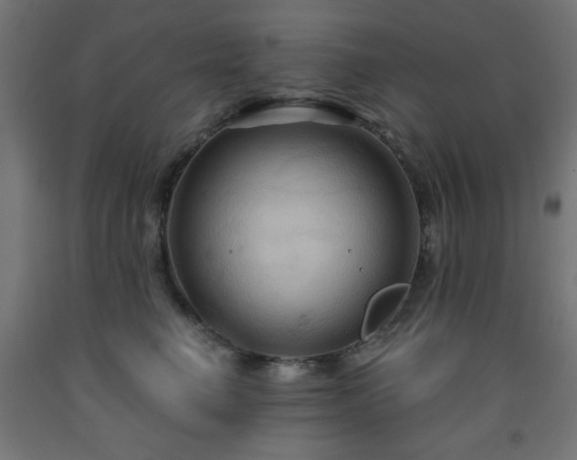 X0000093250662200710031605