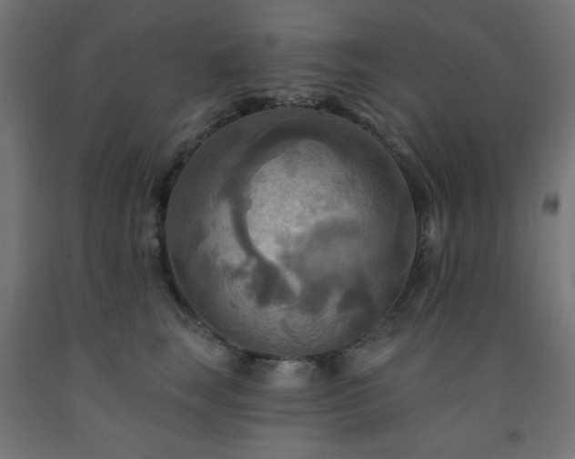 X0000093250663200710031605