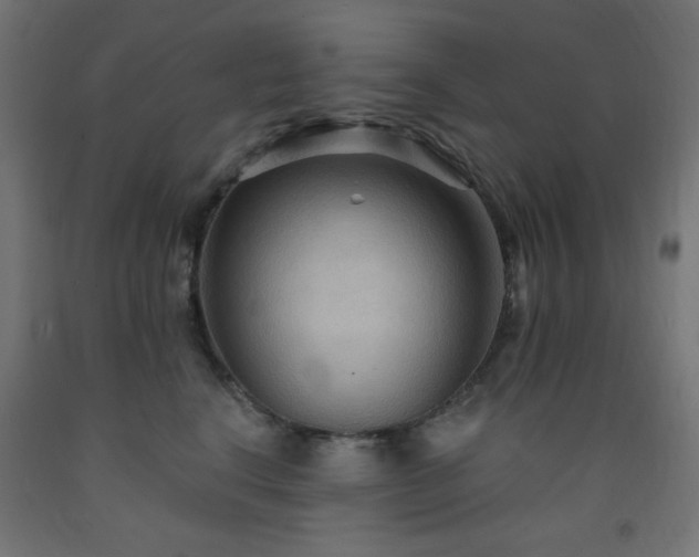 X0000093250664200710031605