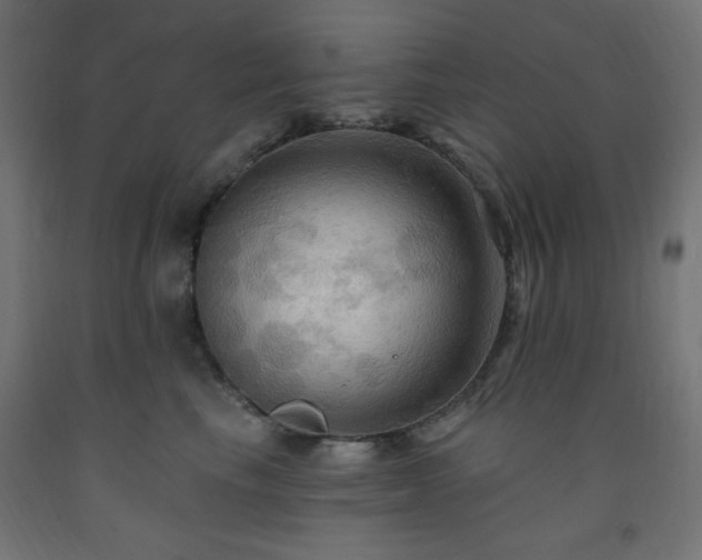 X0000093250665200710031605