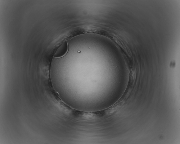 X0000093250666200710031605