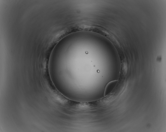 X0000093250668200710031605