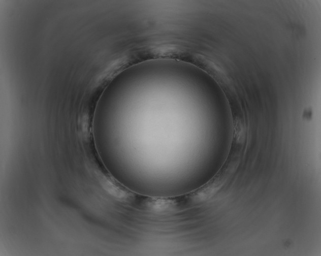 X0000093250670200710031605