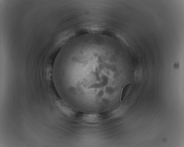 X0000093250671200710031605