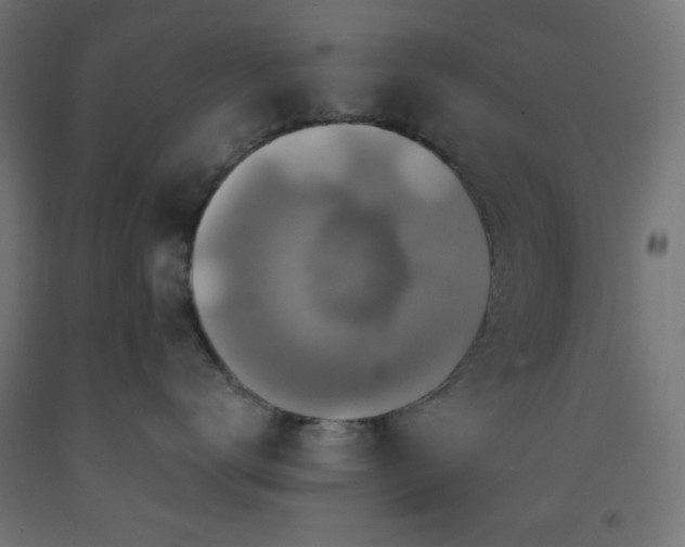 X0000093250672200710031605