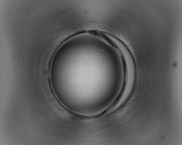 X0000093250673200710031605