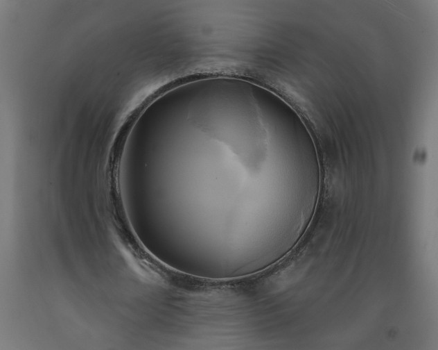 X0000093250674200710031605