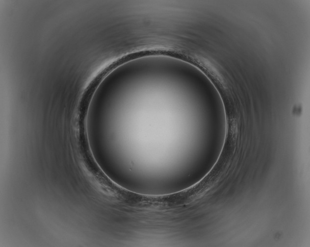 X0000093250676200710031605