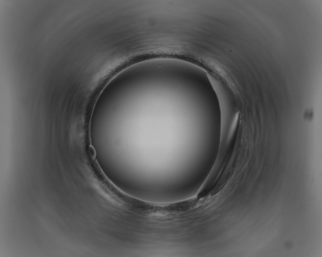 X0000093250677200710031605