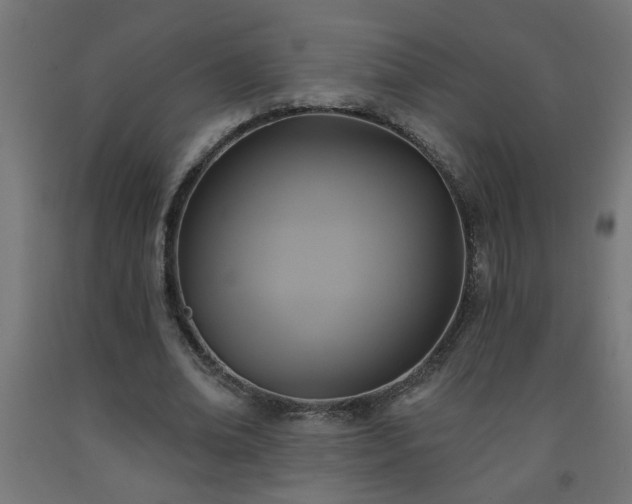 X0000093250678200710031604