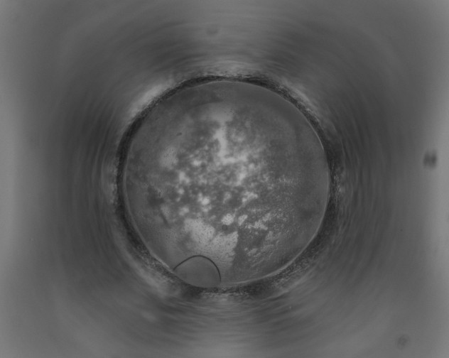 X0000093250679200710031604