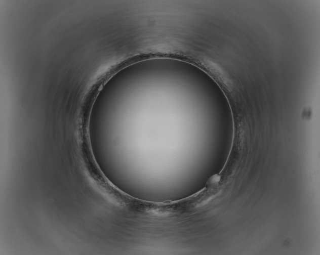 X0000093250680200710031604