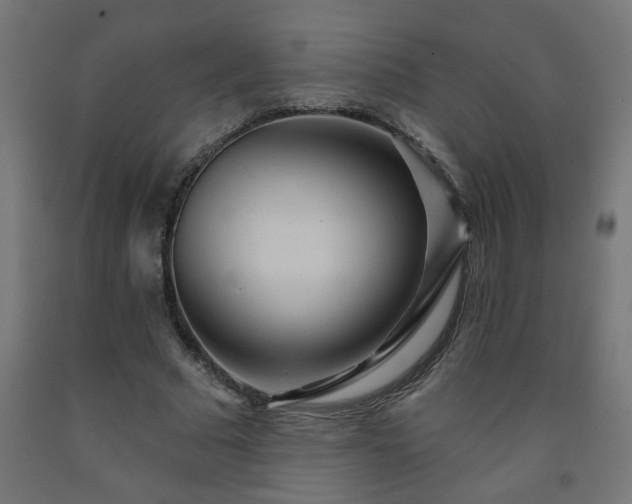 X0000093250681200710031604