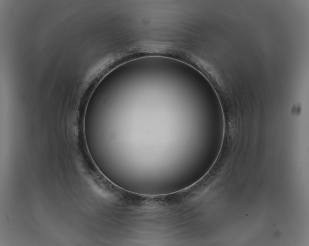 X0000093250682200710031604