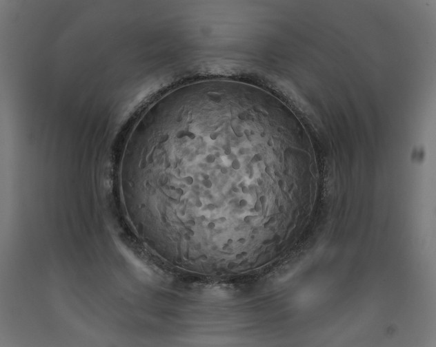 X0000093250683200710031604