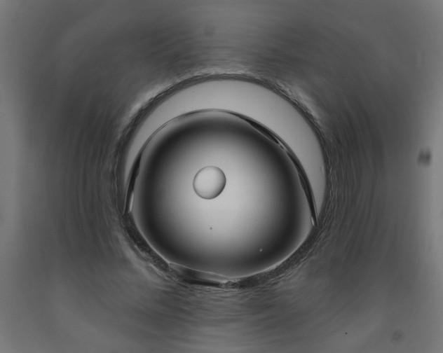 X0000093250684200710031604