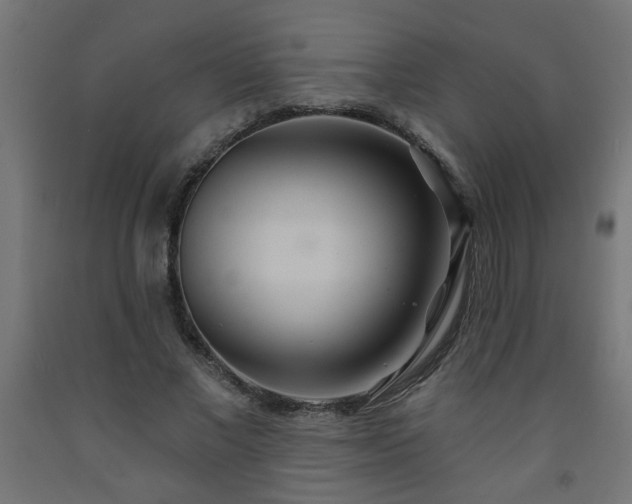 X0000093250685200710031604