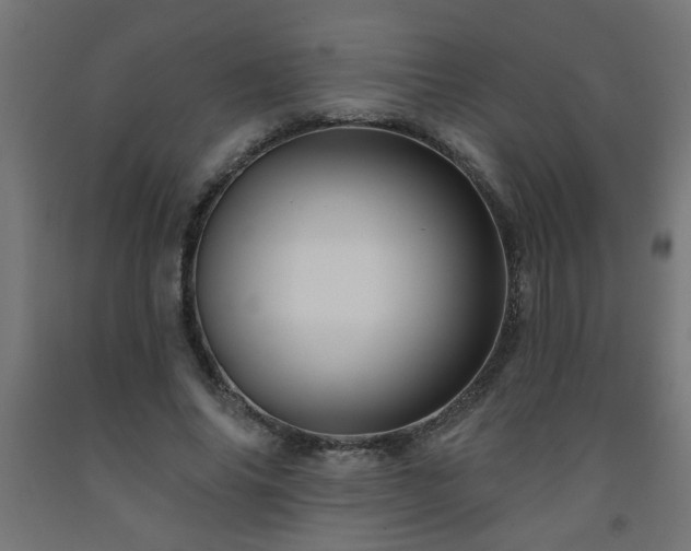 X0000093250686200710031604