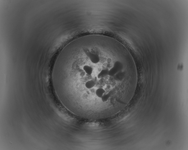 X0000093250687200710031604