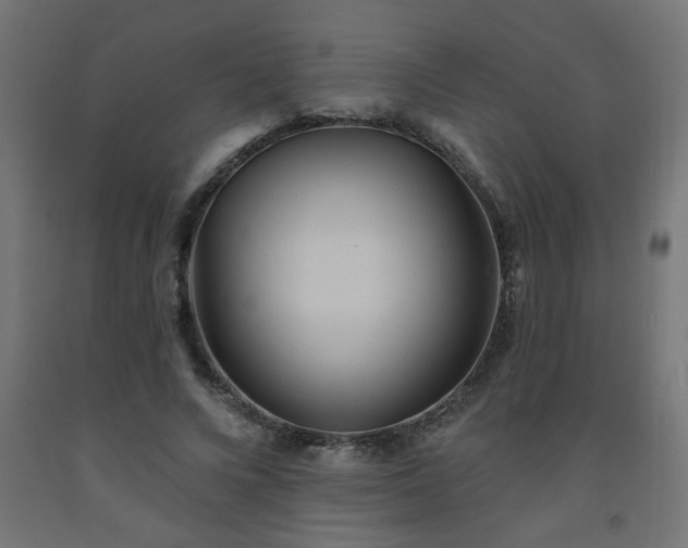 X0000093250688200710031604