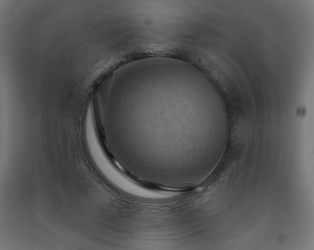 X0000093250689200710031604