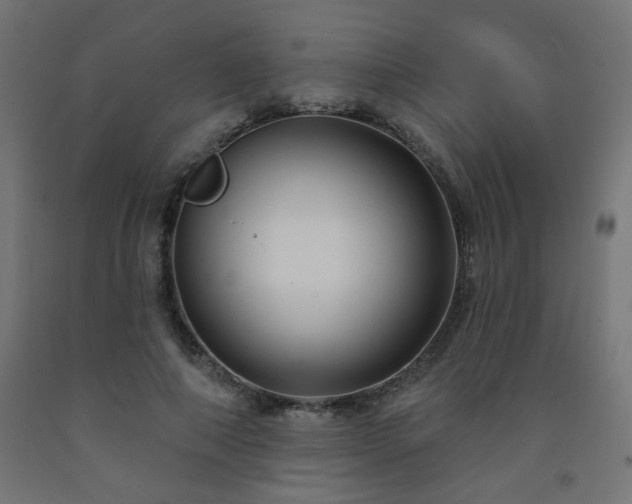 X0000093250690200710031604