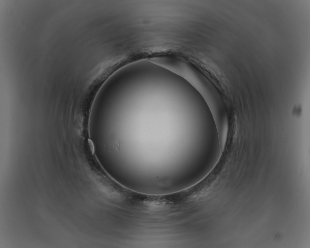 X0000093250693200710031604