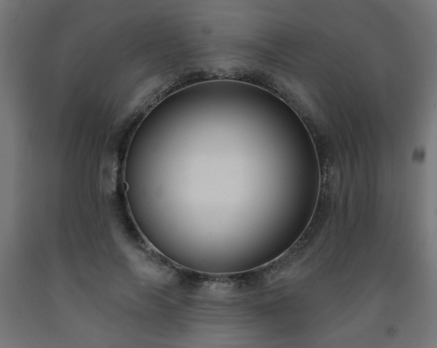 X0000093250694200710031604