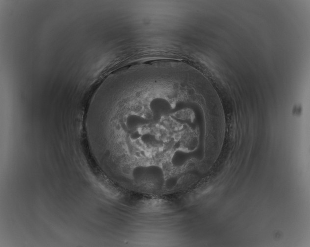 X0000093250695200710031604