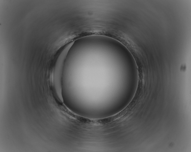 X0000093250696200710031604