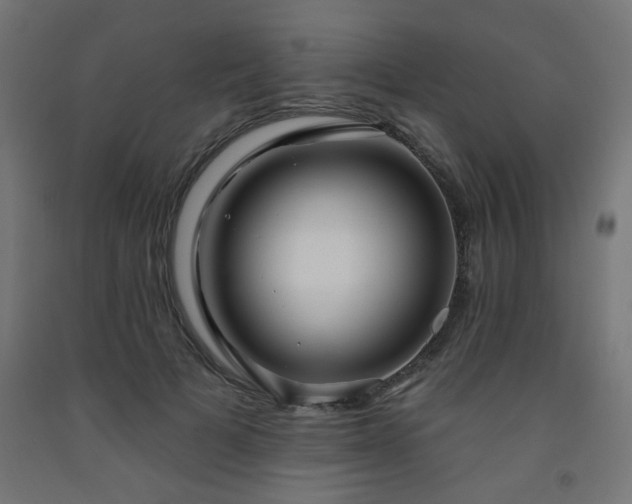 X0000093250697200710031604