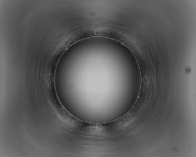 X0000093250698200710031604