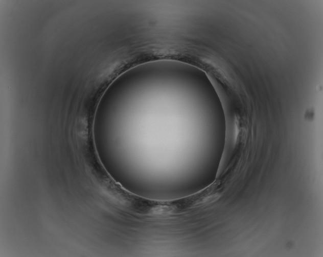 X0000093250700200710031604