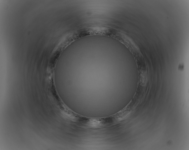 X0000093250701200710031604