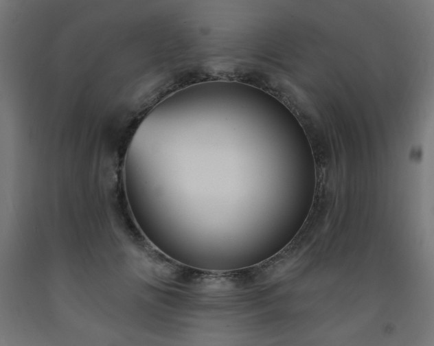 X0000093250702200710031604