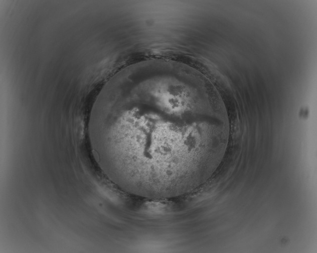 X0000093250703200710031604