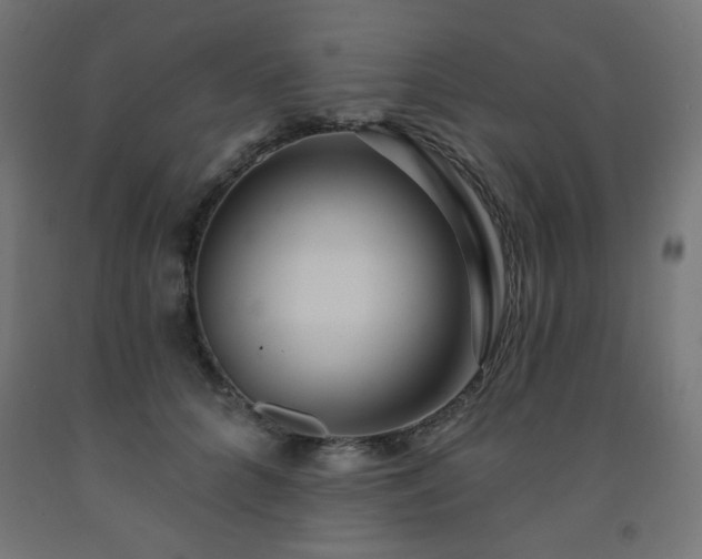 X0000093250704200710031604