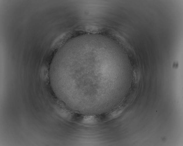 X0000093250705200710031604