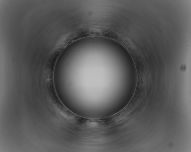 X0000093250706200710031604