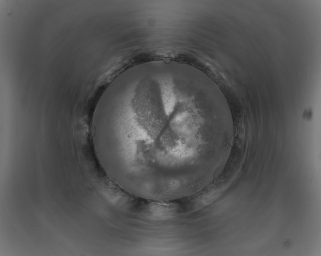 X0000093250707200710031604