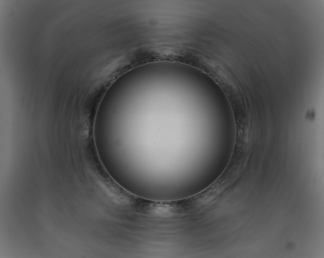 X0000093250710200710031604